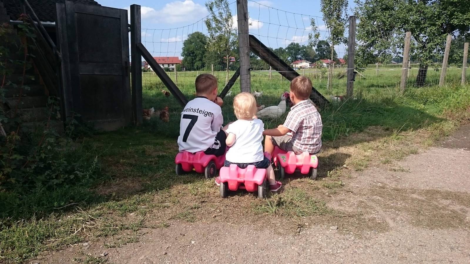 Ganze Ferienwohnung, Zaißlhäusl Hof Ferienwohnung - Ferienwohnung Nr. 1 mit Bergblick, 57m², großem Dreibett-Schlafzimmer und neuem Bad in Übersee, Chiemsee