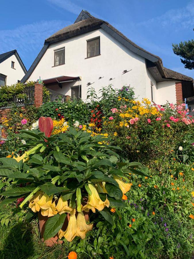 Ferienwohnung für 4 Personen, mit Ausblick und Garten sowie Terrasse und Sauna auf Hiddensee - 4