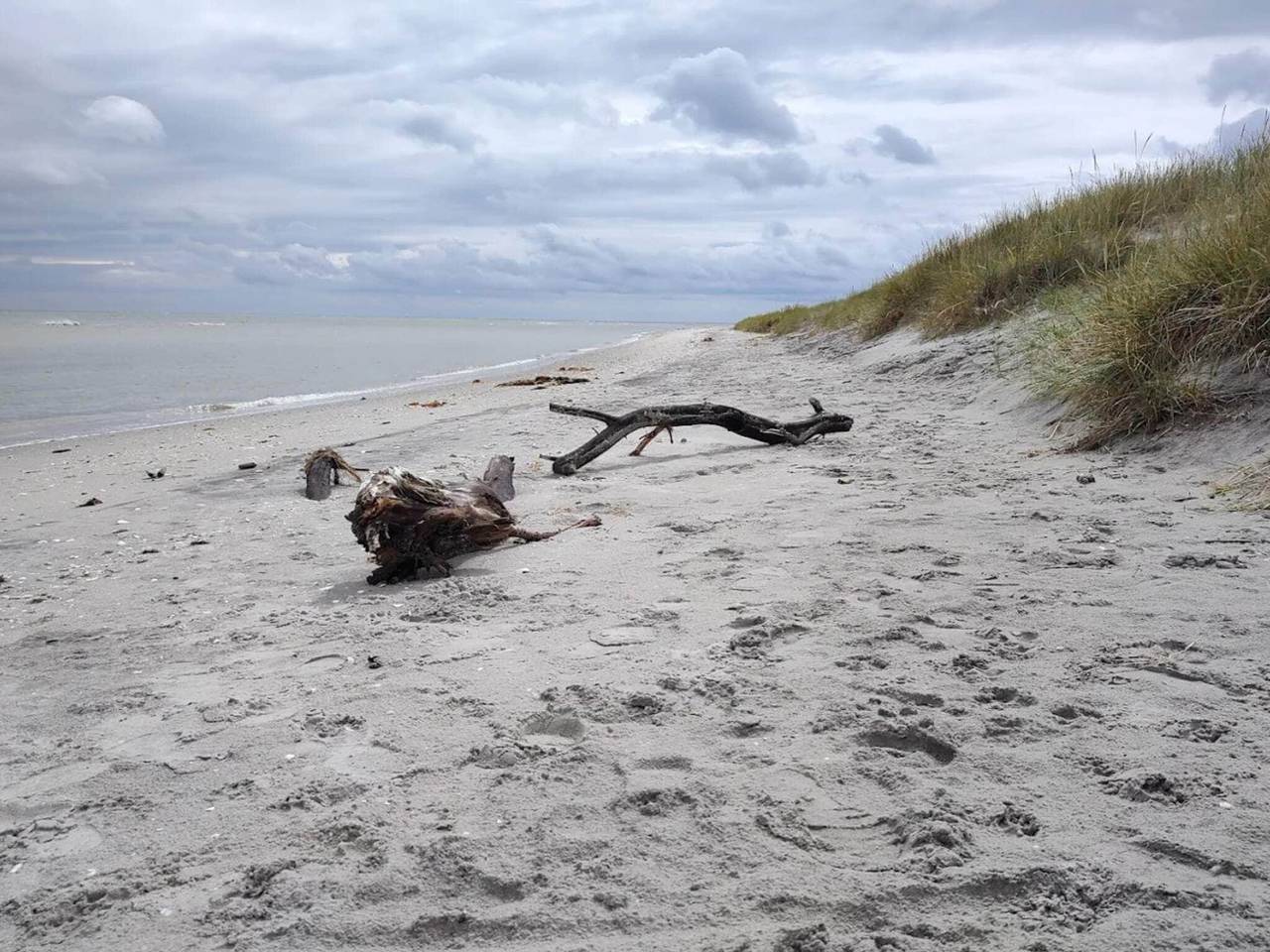 Meeresruhe in Lyngsa in Sæby, Nordostjütland