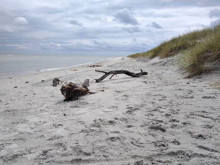 Havudsigt i Lyngsa in Sæby, Nordøstjylland