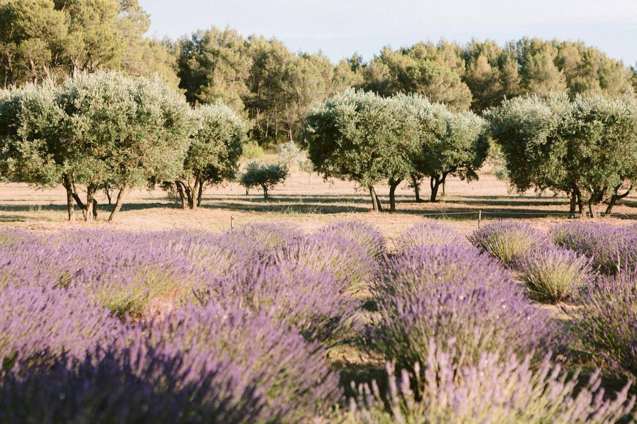 Le Mas De La Rose - Teritoria in Orgone, Région d'Arles