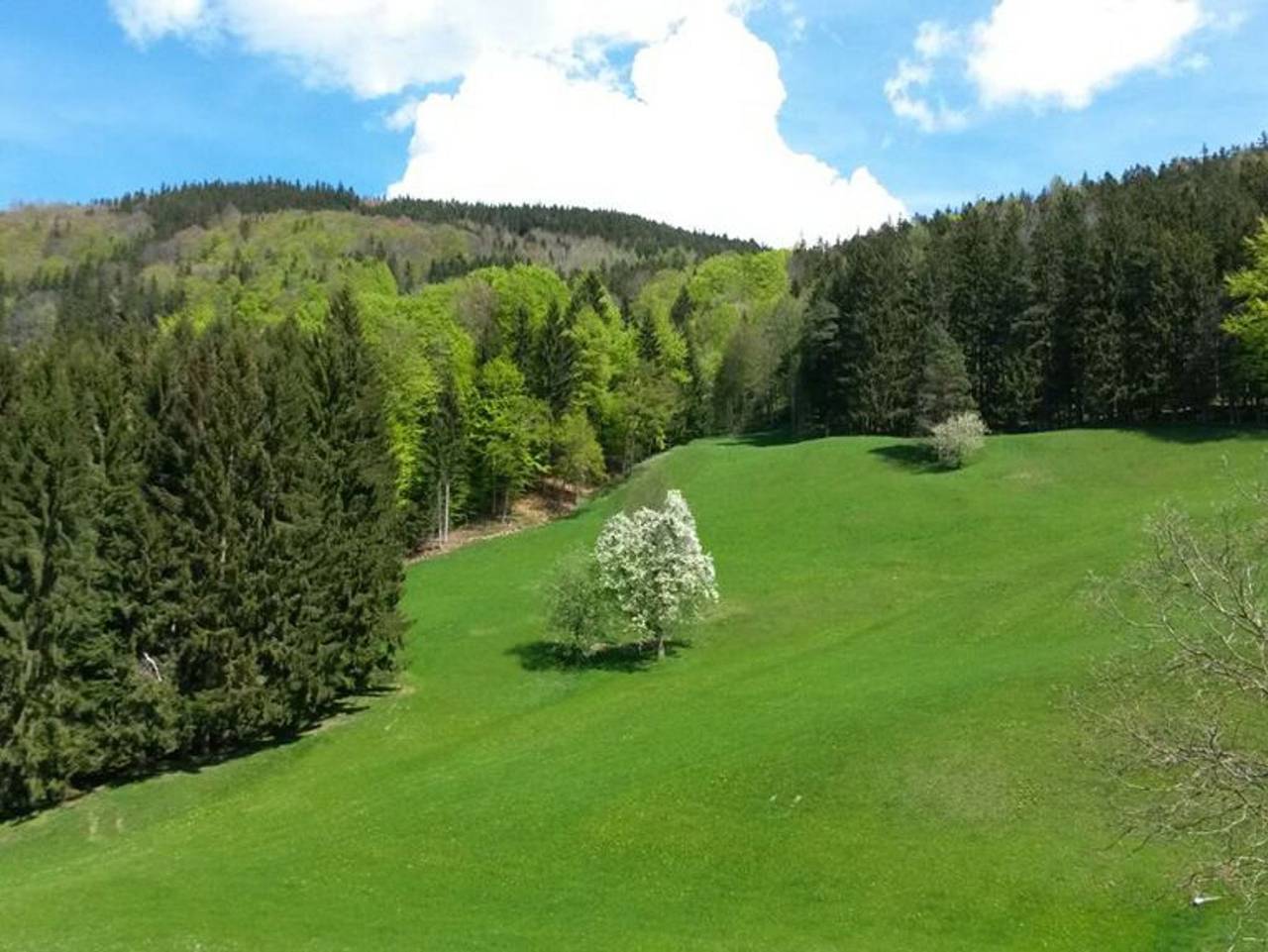 Biobauernhof Gesundheitshof Daxinger - Orangenblüte in Mondsee & Irrsee