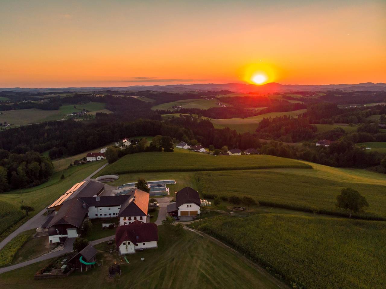 Apartment Veilchen in Niederwaldkirchen, Bezirk Rohrbach
