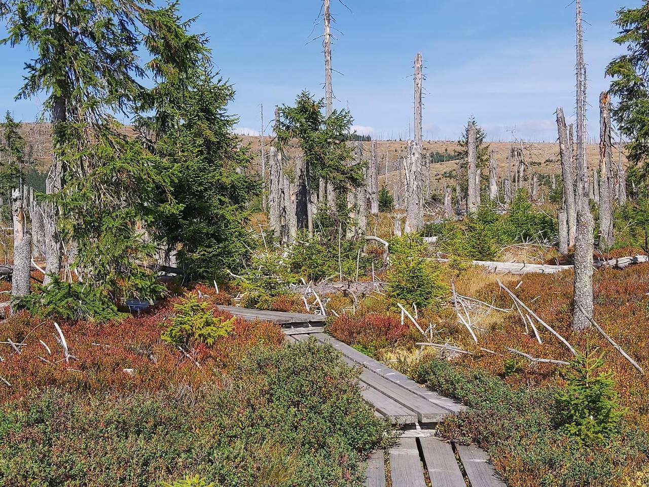 Haus Panorama - Ferienwohnung 2 mit Terrasse in Hohenau, Ostbayern