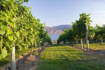 Cottage for 8 Guests in Central Okanagan, Picture 1