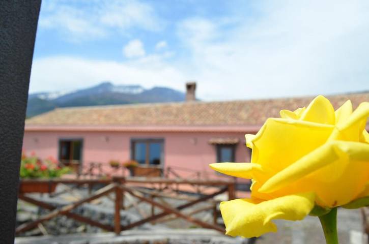 Zimmer für 2 Personen, mit Garten und Ausblick, mit Haustier - 1