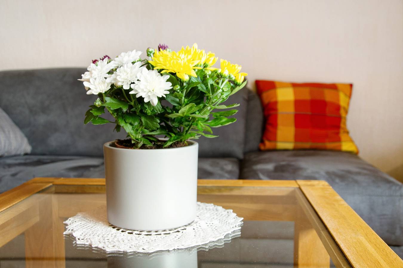 Ganzes Studio, Einzimmerapartment 'Ferienwohnung Goldblume Hooksiel' mit Gemeinschaftsgarten, Balkon und Wlan in Hooksiel, Wangerland