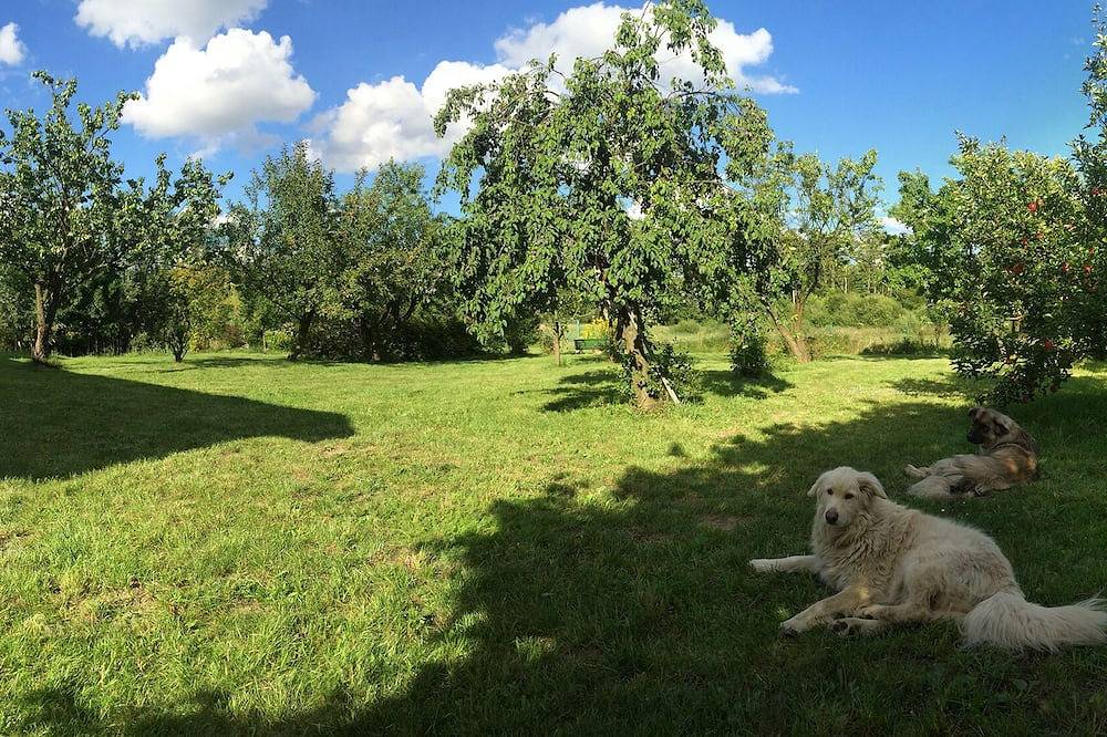 Moderna Country Home a soli 45 minuti di auto da Varsavia in Masowien