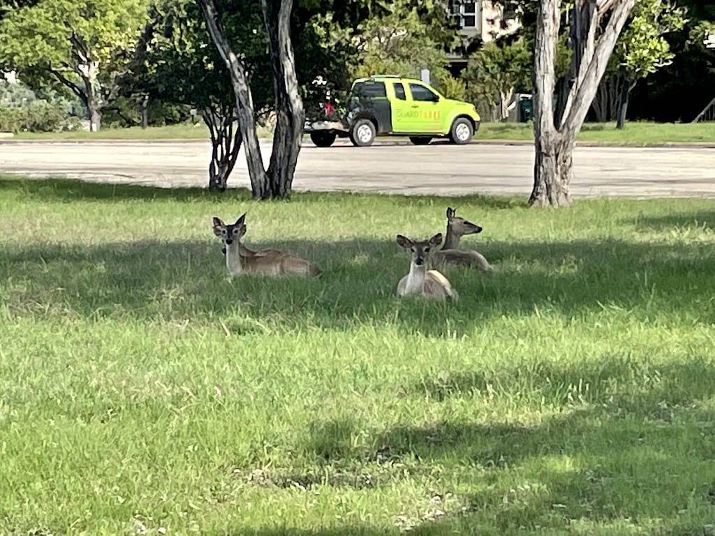 Vacation House for 12 Guests in Lake Travis, Travis County