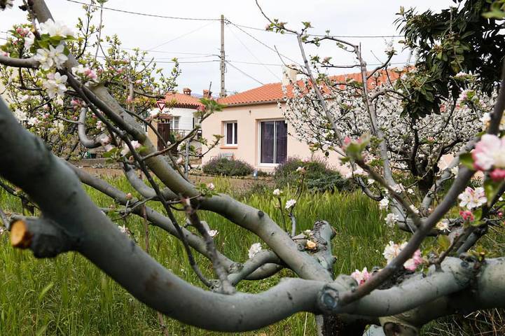 Maison de vacances pour 2 personnes, avec terrasse - 1