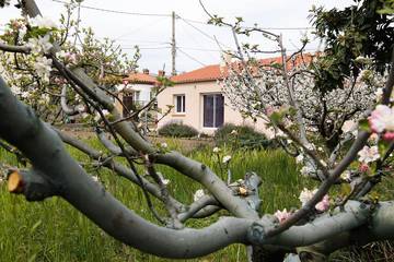 Gîte pour 2 personnes, avec terrasse à Prades