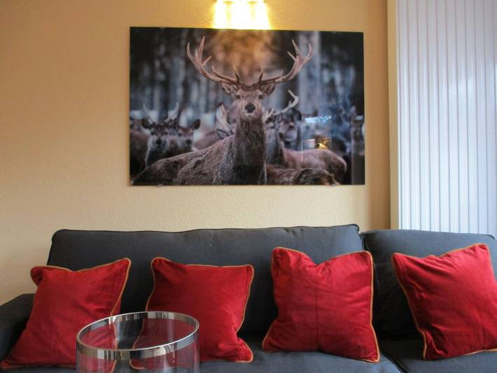 Hütte für 6 Personen, mit Balkon in Braunlage - 3