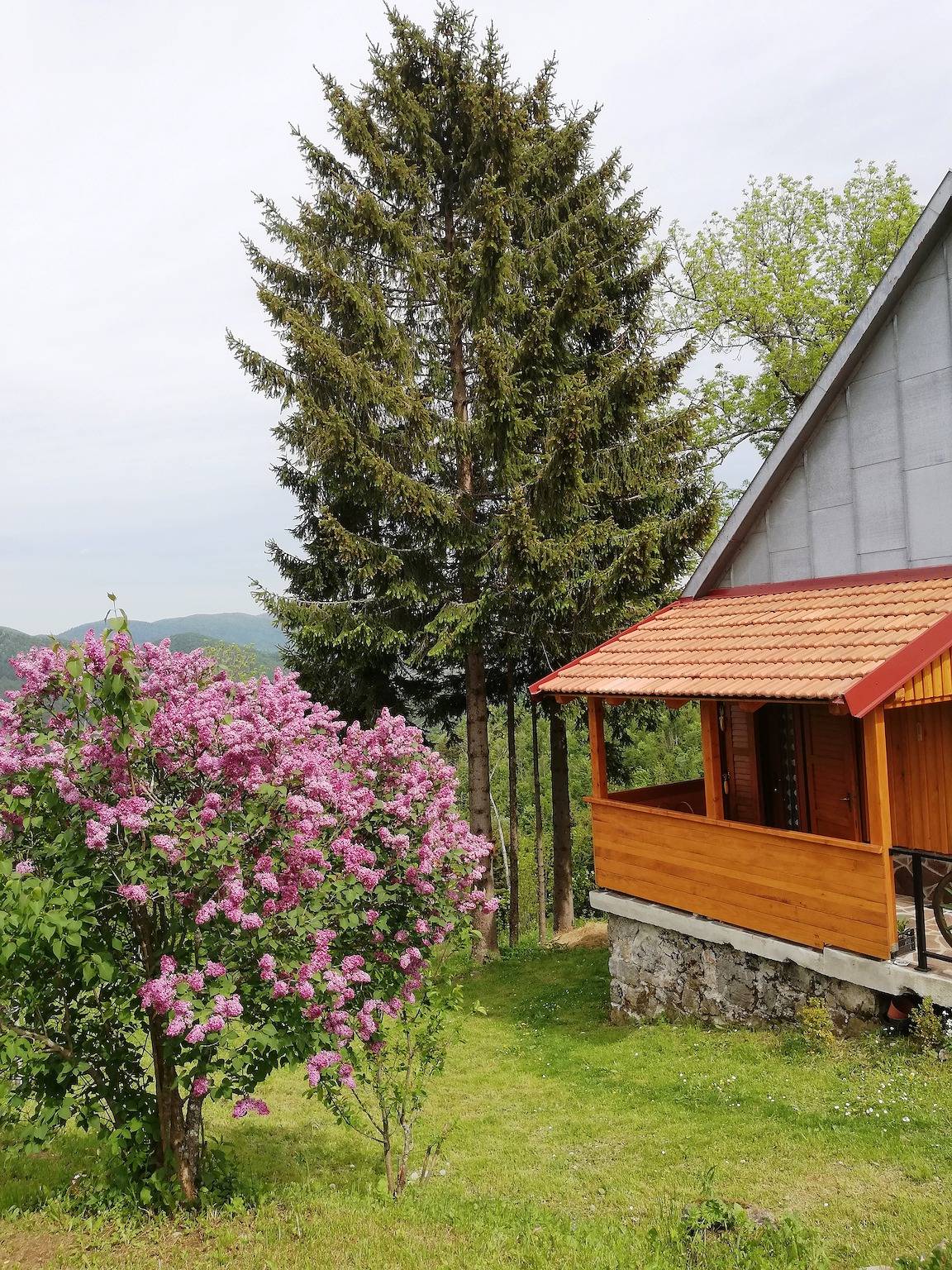 Holiday house with a parking space Brestova Draga, Gorski kotar - 18374 in Mrkopalj, Primorje-Gorski Kotar