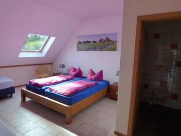 Chambre d’hôte pour 2 personnes, avec vue et jardin dans Bas-Rhin
