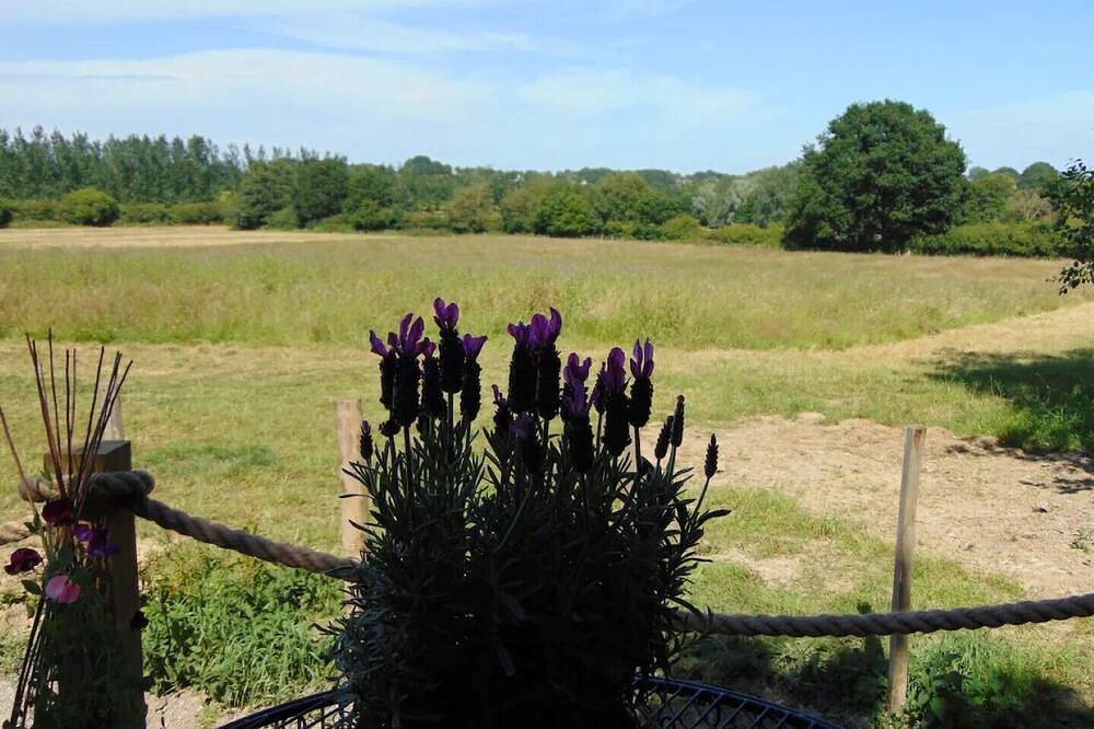 Private Quiet Cabin, overlooking Paddocks Vineyards and Pine Forest in Westfield, East Sussex