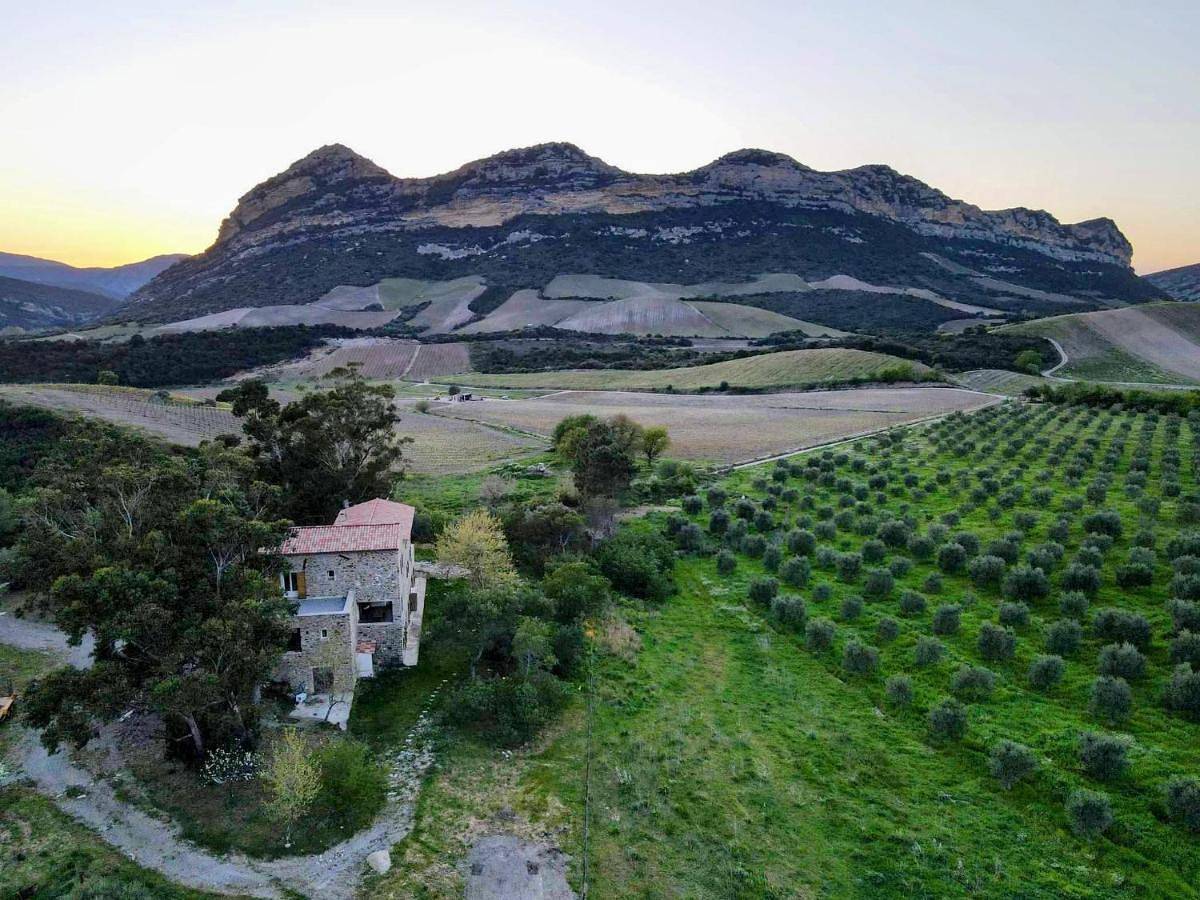 Standard Double Room in Poggio-d'Oletta, Région de Calvi
