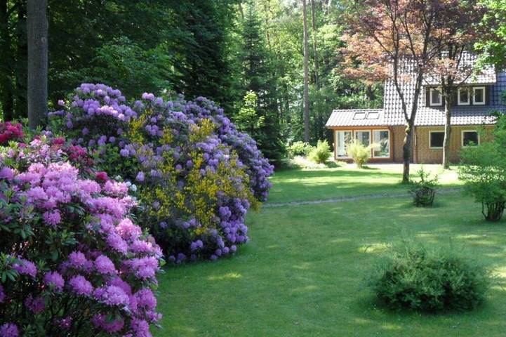 Ganze Wohnung, Ferienwohnungen Wahlers Eg in Bispingen, Nordheide