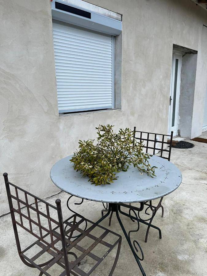 Gîte pour 4 personnes, avec vue ainsi que piscine et jardin dans Saint-Jean-de-Bournay - 3