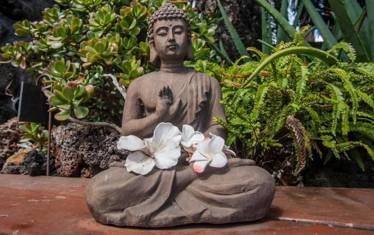 Maison d’hôte pour 2 personnes, avec jardin ainsi que piscine et vue à Saint-Leu - 2