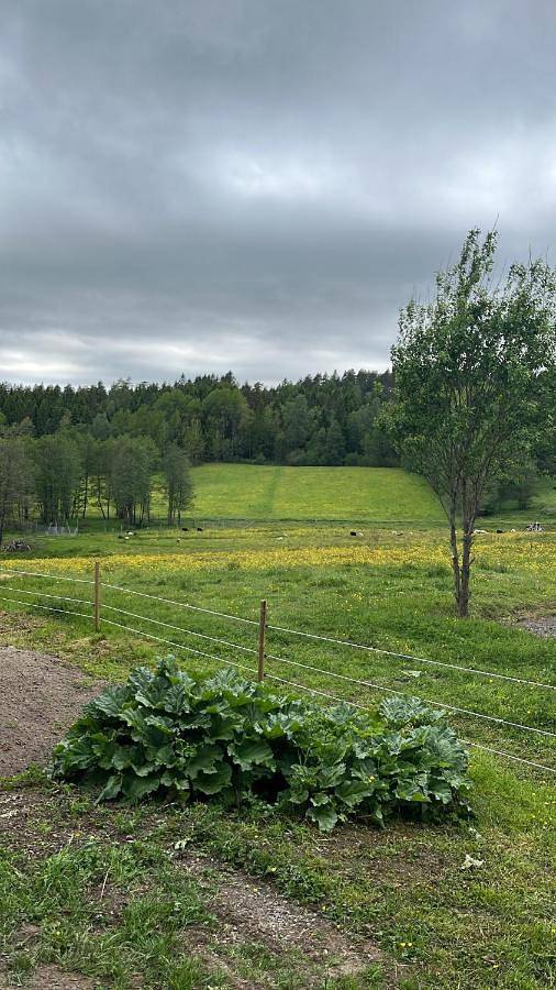 Ferienhaus für 7 Personen, mit Ausblick und Terrasse in Munkedal - 4