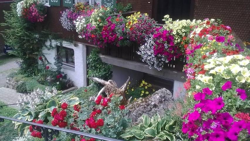 Ferienwohnung für 4 Personen, mit Terrasse und Garten, mit Haustier in Bad Hindelang - 4