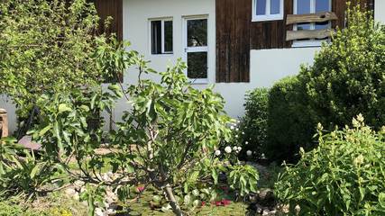 Ferienwohnung für 2 Personen, mit Garten in Kaiserstuhl