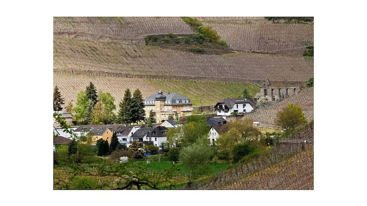 Ferienhaus für 4 Personen (45 m²) in Dernau in Dernau, Ahrtal