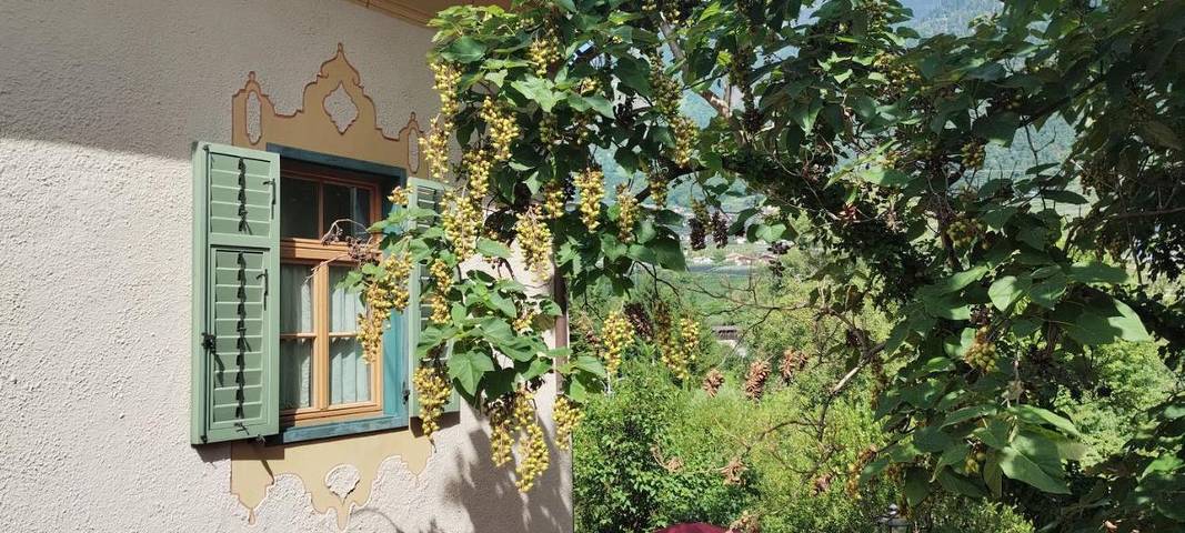 B&B für 2 Personen, mit Garten, mit Haustier in Südtirol - 2