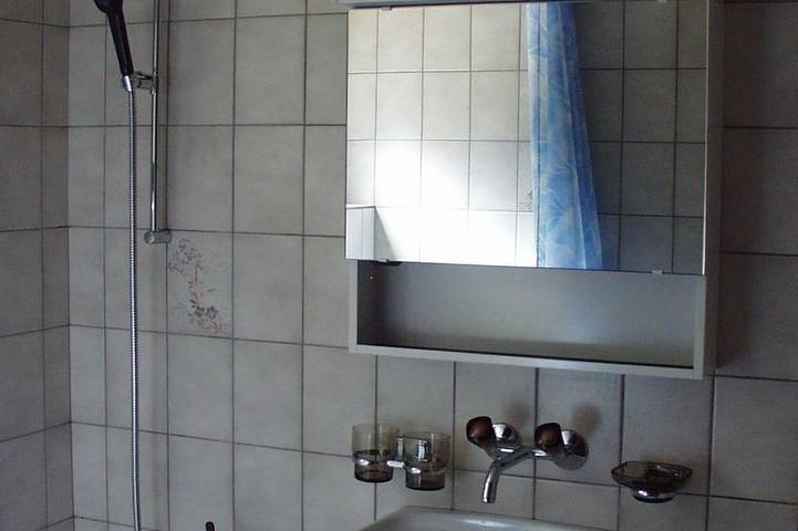 Appartement entier, Teleboy Appartement/Fewo, Dusche oder Bad, Wc, 1 Schlafraum 4-Bett-Wohnung in Lenk im Simmental, Lenk