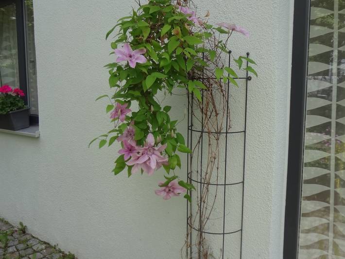 Ferienwohnung für 4 Personen, mit Terrasse und Garten in Buchenberg - 3
