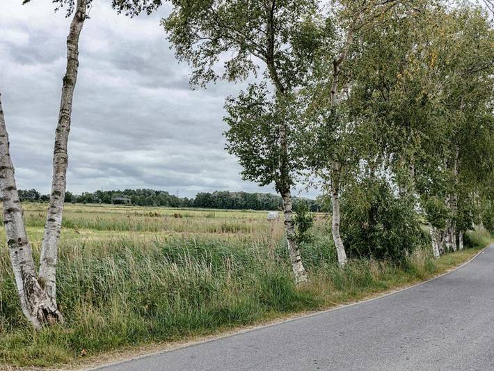 Ferienhaus für 6 Personen, mit Terrasse und Garten, kinderfreundlich in Emden - 4