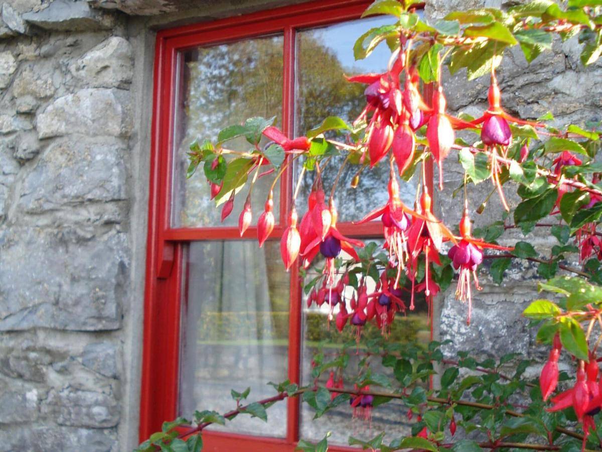 Maison de vacances pour 2 personnes in Terryglass, Nenagh