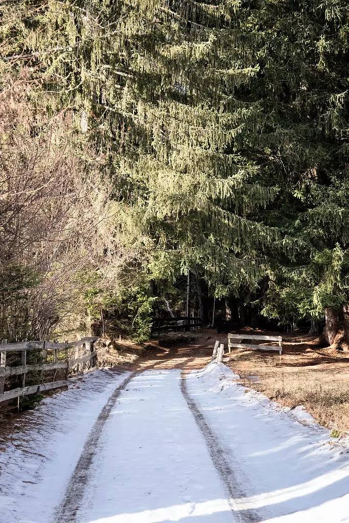 Chalet für 2 Personen, mit Pool in Trentino-Südtirol - 4