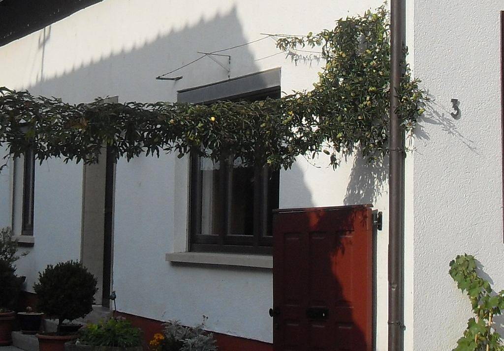 Ferienwohnung Maria in Neustadt an der Weinstraße, Pfälzer Rheinebene