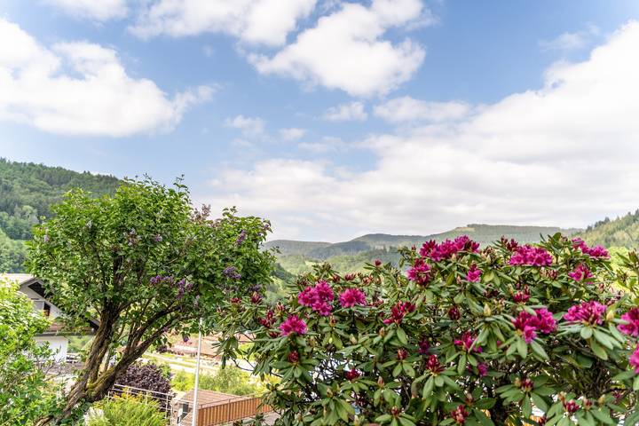 Entire apartment, Apartment 'Streck' with Mountain View, Private Terrace and Wi-Fi in Bad Peterstal-Griesbach, Central Black Forest