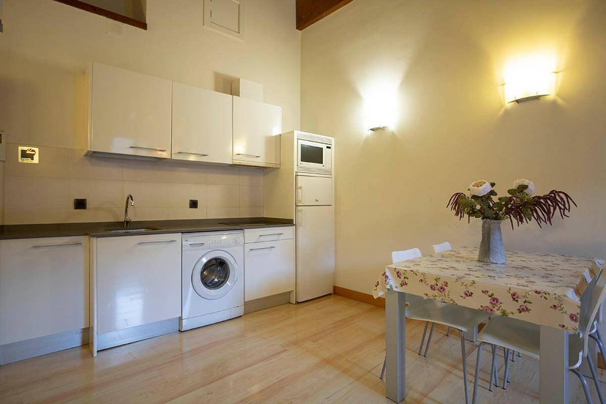 Appartement entier, Metsola Apartamentos Rurales in Isaba, Pyrénées espagnoles