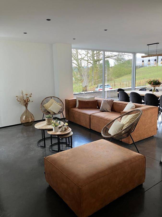 Location de vacances pour 9 personnes, avec jacuzzi et jardin à Hotton - 3