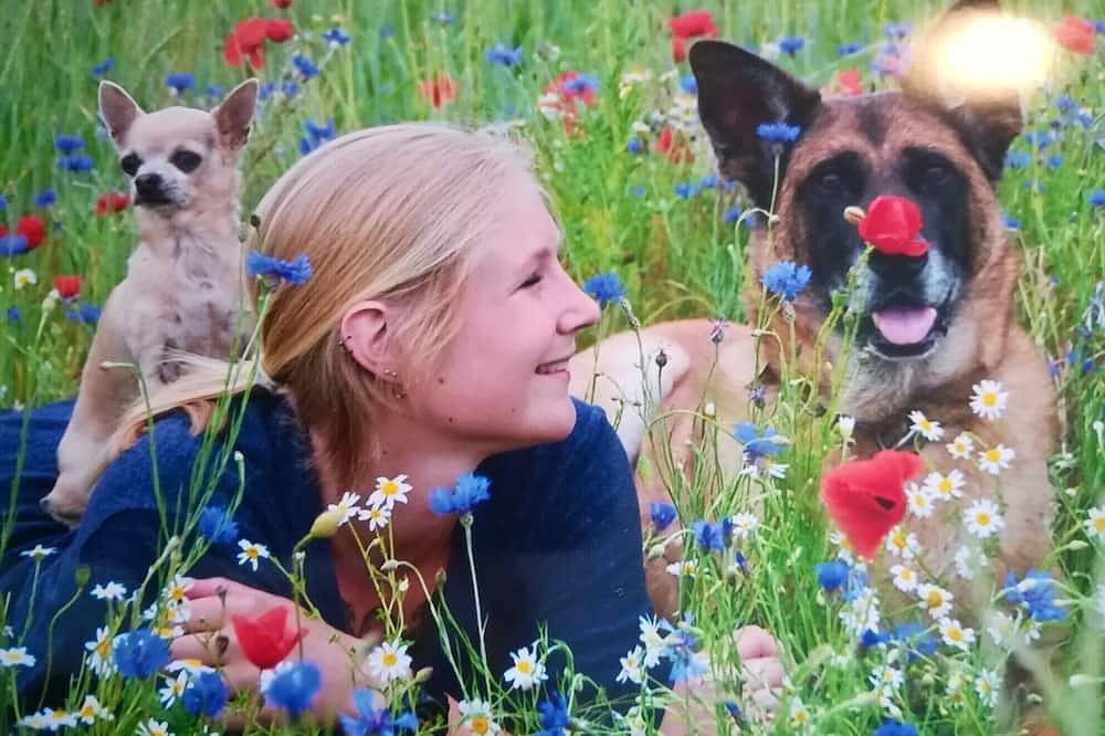 Ganze Wohnung, Wolfgangsee, Zentrum, Seenähe, Skiurlaub, Whirlpool, Hundefreundlich, Sky-Tv in Strobl, Salzkammergut