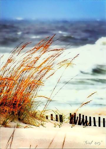 Vacation House for 10 Guests in Gulf Shores, Mobile Bay, Picture 2