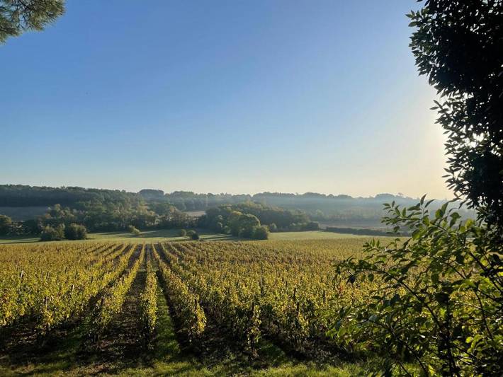 Location de vacances pour 2 personnes, avec jardin ainsi que vue et piscine à Les Lèves-et-Thoumeyragues - 3