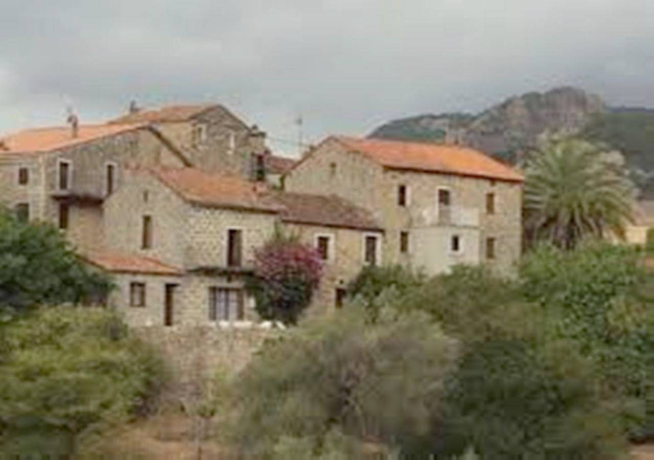 Bed in 4-Bed Mixed Dormitory Room in Zévaco, Parc naturel régional de Corse