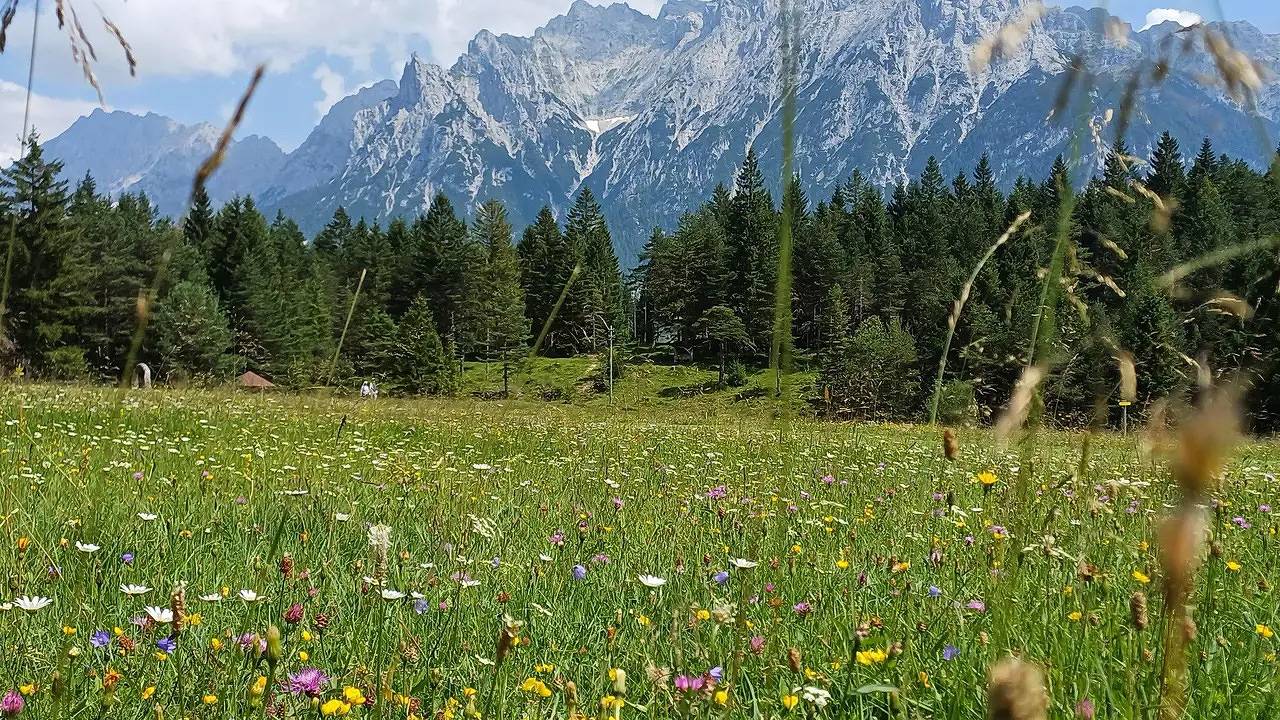 Ganze Ferienwohnung, Ferienwohnung für 4 Personen (61 m²) in Mittenwald in Mittenwald, Bayerische Alpen