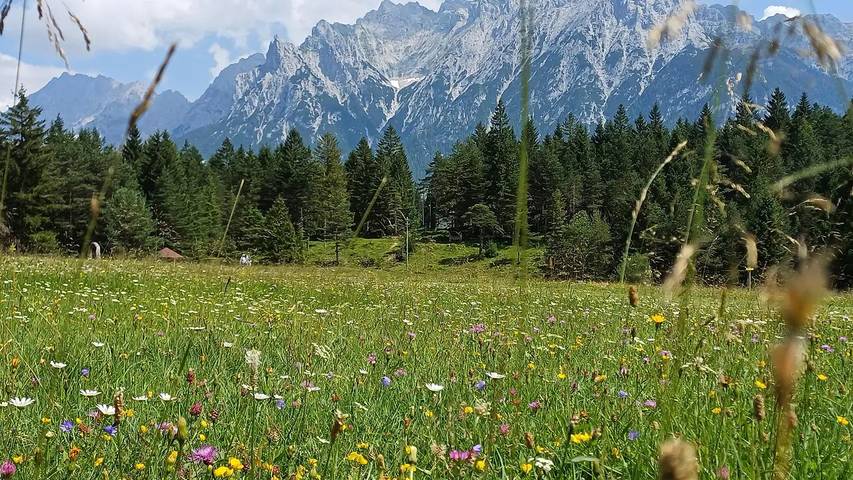 Ferienwohnung für 4 Personen, mit Terrasse im Mittenwald - 3