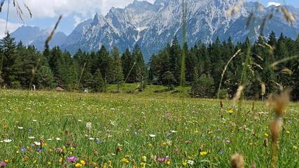 Ferienwohnung für 4 Personen in Mittenwald, Bayerische Alpen, Bild 2