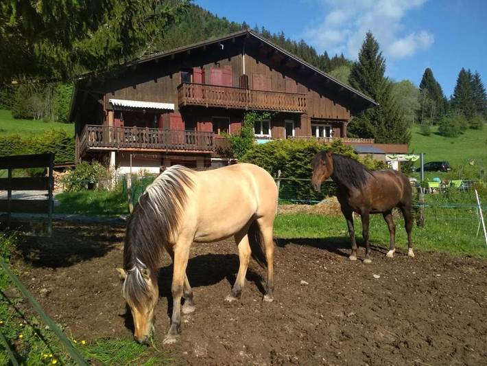 Gîte pour 4 personnes, avec jardin et vue dans Saint-Jean-de-Tholome - 4