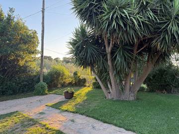 Agriturismo per 3 Persone in Magliano in Toscana, Maremma, Foto 1