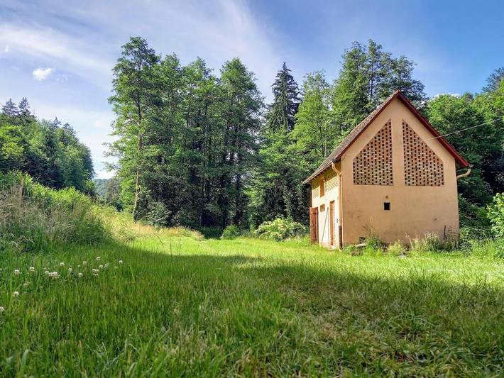 Gîte pour 6 personnes, avec jardin et vue, animaux acceptés à Niederbronn-les-Bains - 3