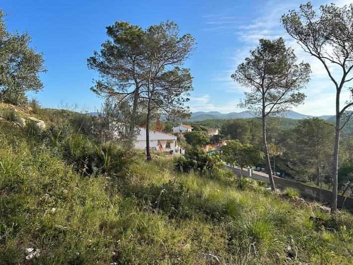 Maison d’hôte pour 4 personnes, avec jardin et vue ainsi que piscine et terrasse, animaux acceptés à Sant Pere de Ribes