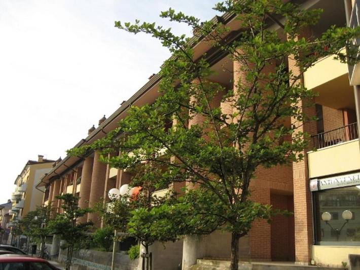 Apartamento de vacaciones para 3 personas, con terraza, Se admiten mascotas - 1