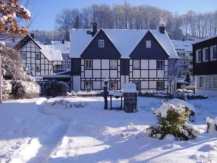 Ferienwohnung für 3 Personen, mit Garten und Terrasse, mit Haustier in Olsberg - 2